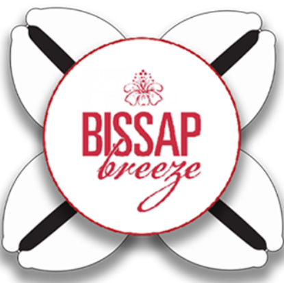 BISSAP BREEZE LLC