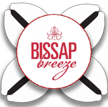 Bissap — 12pk